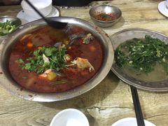 风鑫铃罗非鱼-风鑫铃罗非鱼(道沟店)