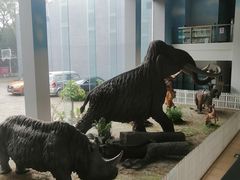 -中国第四纪冰川遗迹陈列馆