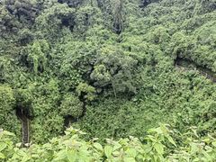 -海口火山口国家地质公园