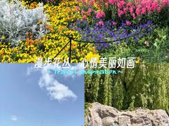 -上海鲜花港