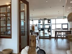大堂-猫小主咖啡·猫咖cat cafe(福田店)