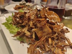 -老洋房花园饭店(绍兴路店)