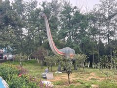 -青龙湖公园