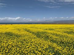 -青海湖国家重点风景名胜区