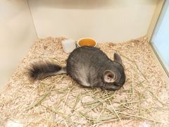 -龙猫仔乐园(惠福东路店)