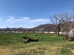 -潭柘厚院&山顶烤肉(潭柘寺店)