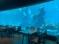 -海棠湾洲际-涛·海底餐厅·美人鱼·自助餐·海底隧道