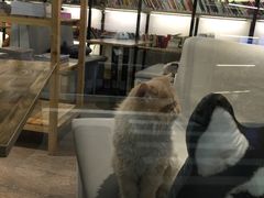 -小时光咖啡馆(开森度假森林店)