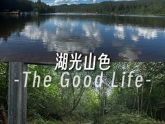 -五营红松林海景区