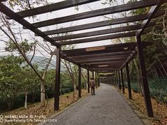 -九龙潭景区