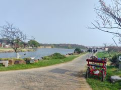 -上海海湾国家森林公园