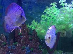 -临沂极地海洋王国