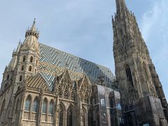 -斯蒂芬主教座堂(Stephansdom)
