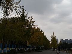 -四川大学(望江校区)