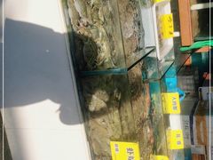 水产区-马王堆海鲜水产市场