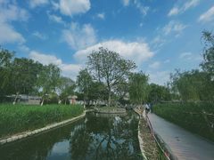 -春风习习