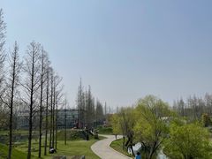 -前小桔亲子创意农场·草莓采摘·露营烧烤