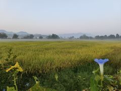 -黟县屏山村
