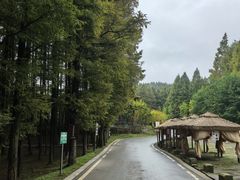 -山王坪喀斯特国家生态公园