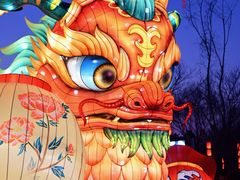 -清明上河园