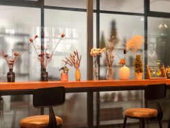 -菲林婚纱摄影工作室