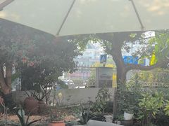 -一棵树·意大利西餐厅One Tree(新城店)