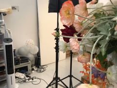 -海马体照相馆(上海晶耀前滩店)