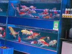 -秦美花卉(天朗·莱茵小城2期店)