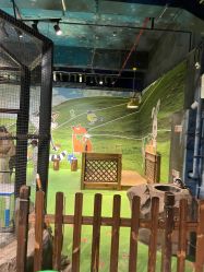 -酷嗒动物文化乐园(cutezoo西溪乐天城店)