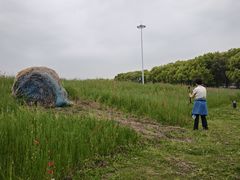 -嘉北郊野公园