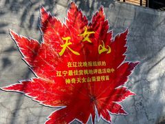 -天女山森林公园