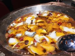 -雲蜀龙阁·金牌水煮鱼(方庄店)