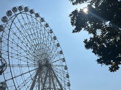 -横店影视城梦幻谷园区