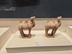 -隋唐大运河文化博物馆
