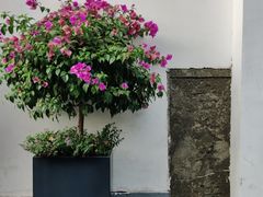 -河坊街景区