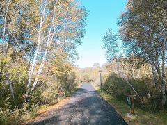 -塞罕坝国家级自然保护区