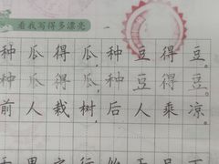 -赵汝飞练字硬笔书法(博泰国际校区)