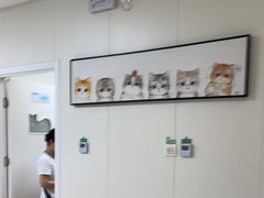 -美联众合动物医院·24h京西诊疗中心