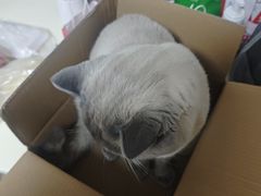 -联合动物医院(光谷诊疗中心)
