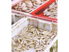 -大湾区中央湿地公园-十九涌