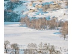 -塞罕坝国家级自然保护区