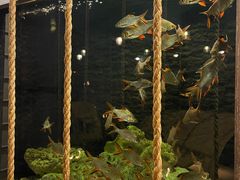 -老船坞水上餐厅(亚洲大酒店  东四十条店)