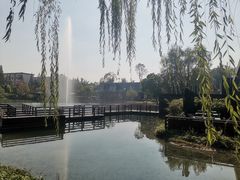 -成飞公园