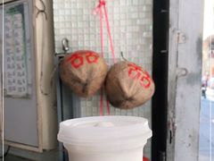 -洪馨椰子