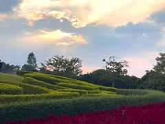 -东莞植物园