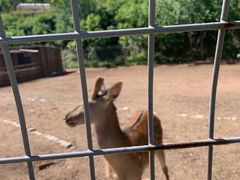 -北京山里寒舍度假酒店