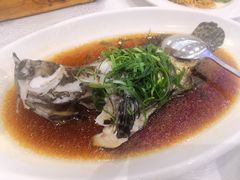 1元海鲜清蒸海石斑-金翠皇宫粤菜·点心·海鲜(科技园店)