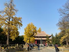 -苏州文庙(姑苏区)