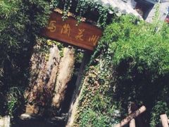 -馬蘭花開(车站大道店)