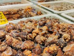 -苏大嘴蒸汽海鲜·海胆蒸饺(中山广场店)